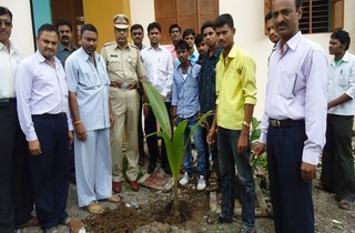  Tree Plantation 